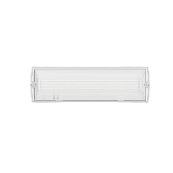 emergency-bulkhead-luminaire-E-Bulk-E-bulk-sub-family